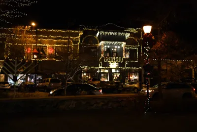 DSC_0038 (Large).JPG